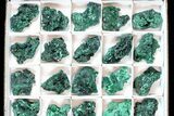Lot: Gorgeous Fibrous Malachite From Congo - Pieces #77806-1